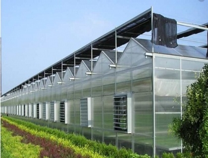 智能温室大棚展示