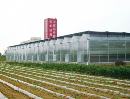 阳光板温室