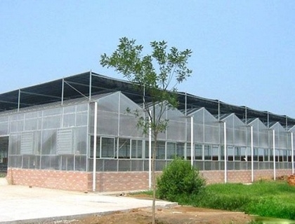 阳光板温室III