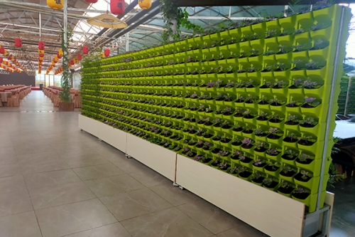 植物墙厂家