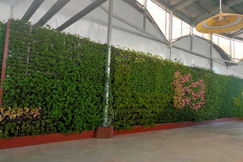 植物墙价格