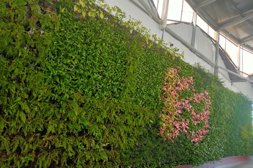优质植物墙厂家