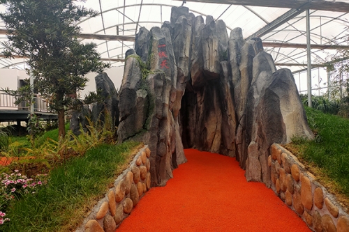 温室内部展示